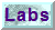 Labs button.